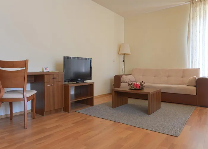 Vihren Royal Palace 酒店 班斯科