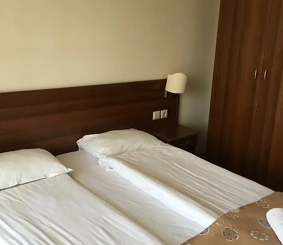 酒店 Vihren Royal Palace