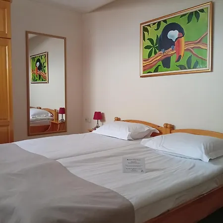 Vihren Royal Palace Hotel 4*